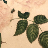 Very Fine 19th Century Gouache and Watercolor Floral Bouquet
