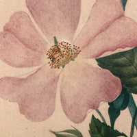 Very Fine 19th Century Gouache and Watercolor Floral Bouquet