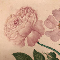 Very Fine 19th Century Gouache and Watercolor Floral Bouquet