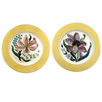 Pair of 1930s Cockcroft Hand-painted Floral Plates: Two Lilies