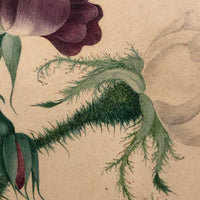 Very Fine 19th Century Gouache and Watercolor Floral Bouquet