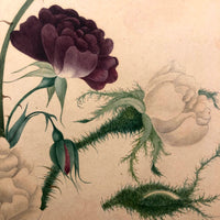 Very Fine 19th Century Gouache and Watercolor Floral Bouquet