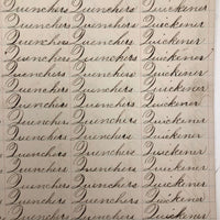 Henry Fisher's 1869 Penmanship Practice with Great Word Combinations!