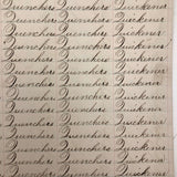 Henry Fisher's 1869 Penmanship Practice with Great Word Combinations!