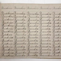 Henry Fisher's 1869 Penmanship Practice with Great Word Combinations!
