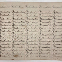 Henry Fisher's 1869 Penmanship Practice with Great Word Combinations!