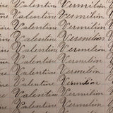 Henry Fisher's 1869 Penmanship Practice with Great Word Combinations!