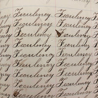 Henry Fisher's 1869 Penmanship Practice with Great Word Combinations!