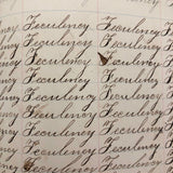 Henry Fisher's 1869 Penmanship Practice with Great Word Combinations!