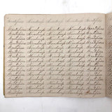 Henry Fisher's 1869 Penmanship Practice with Great Word Combinations!