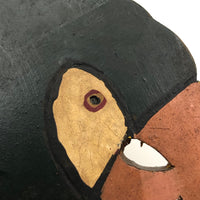 Parrot Head Painted Wooden Folk Art Wall Hook