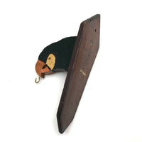 Parrot Head Painted Wooden Folk Art Wall Hook