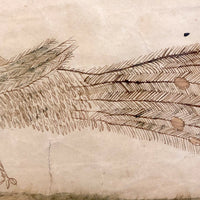 Wonderful Early 19th Century Ink and Watercolor Peacock Drawing in Original Frame