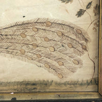 Wonderful Early 19th Century Ink and Watercolor Peacock Drawing in Original Frame