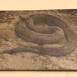 Antique Sepia Toned Rattlesnake Photograph