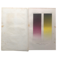 Gammes Chomatique 1869 Chromolithograph of Violet and Yellow Color Ranges