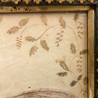 Wonderful Early 19th Century Ink and Watercolor Peacock Drawing in Original Frame