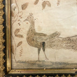 Wonderful Early 19th Century Ink and Watercolor Peacock Drawing in Original Frame