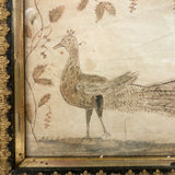 Wonderful Early 19th Century Ink and Watercolor Peacock Drawing in Original Frame
