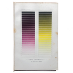 Gammes Chomatique 1869 Chromolithograph of Violet and Yellow Color Ranges