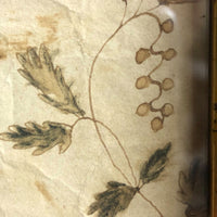 Wonderful Early 19th Century Ink and Watercolor Peacock Drawing in Original Frame