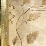 Wonderful Early 19th Century Ink and Watercolor Peacock Drawing in Original Frame