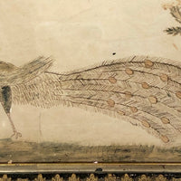 Wonderful Early 19th Century Ink and Watercolor Peacock Drawing in Original Frame