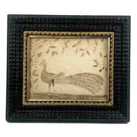 Wonderful Early 19th Century Ink and Watercolor Peacock Drawing in Original Frame