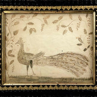 Wonderful Early 19th Century Ink and Watercolor Peacock Drawing in Original Frame