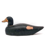 Prince Edward Island 1920 Signed Working Duck Decoy