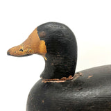 Prince Edward Island 1920 Signed Working Duck Decoy