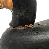 Prince Edward Island 1920 Signed Working Duck Decoy