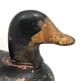 Prince Edward Island 1920 Signed Working Duck Decoy
