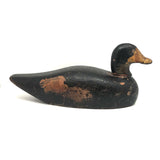 Prince Edward Island 1920 Signed Working Duck Decoy