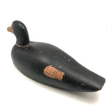 Prince Edward Island 1920 Signed Working Duck Decoy