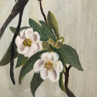 Flycatcher on Flowering Branch, Oil on Board Signed M Pahl, 1974