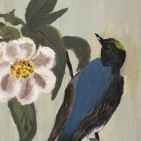 Flycatcher on Flowering Branch, Oil on Board Signed M Pahl, 1974