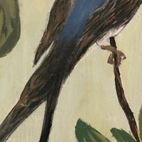 Flycatcher on Flowering Branch, Oil on Board Signed M Pahl, 1974