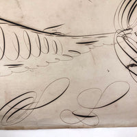 19th C. Spencerian Calligraphic Ink Drawn Fish
