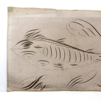 19th C. Spencerian Calligraphic Ink Drawn Fish