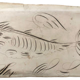 19th C. Spencerian Calligraphic Ink Drawn Fish