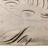 19th C. Spencerian Calligraphic Ink Drawn Fish