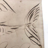 19th C. Spencerian Calligraphic Ink Drawn Fish