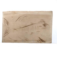 19th C. Spencerian Calligraphic Ink Drawn Fish