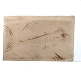 19th C. Spencerian Calligraphic Ink Drawn Fish