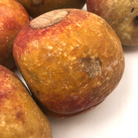 Fabulous Bunch of Stone Fruit Peaches