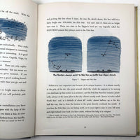 H.A. Rey's The Stars, 1962 Hardback Copy