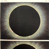 Antique French Astronomical Book Plate: Gaseous Proturberances During 1860 Solar Eclipse