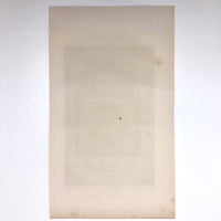 Antique French Astronomical Book Plate: Gaseous Proturberances During 1860 Solar Eclipse
