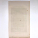 Antique French Astronomical Book Plate: Gaseous Proturberances During 1860 Solar Eclipse